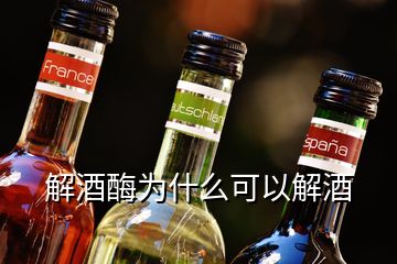 解酒酶為什么可以解酒