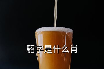 駋字是什么肖