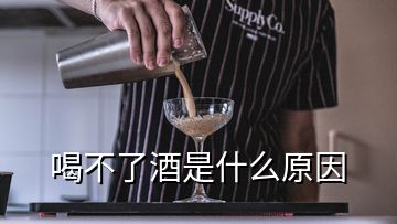 喝不了酒是什么原因