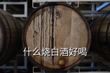 什么燒白酒好喝