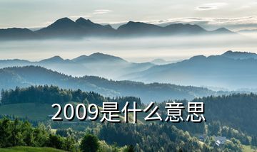 2009是什么意思