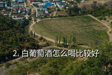 2. 白葡萄酒怎么喝比較好