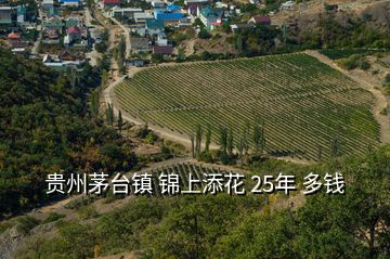 貴州茅臺鎮(zhèn) 錦上添花 25年 多錢