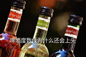 啤酒度數(shù)低為什么還會上頭