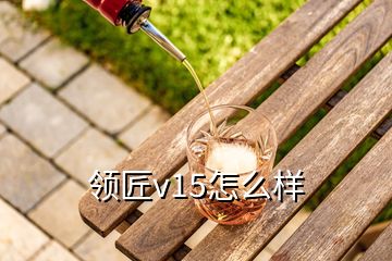 領匠v15怎么樣