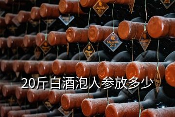 20斤白酒泡人參放多少