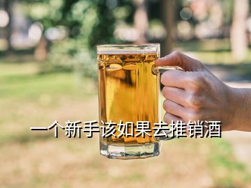 一個(gè)新手該如果去推銷酒