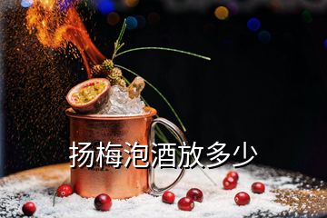 揚梅泡酒放多少