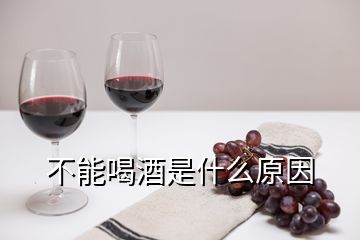 不能喝酒是什么原因