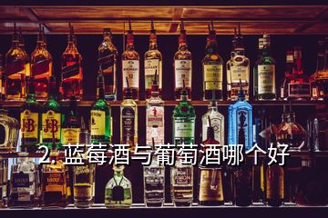 2. 藍莓酒與葡萄酒哪個好