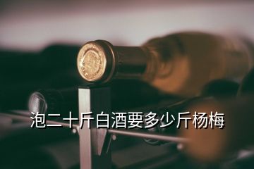 泡二十斤白酒要多少斤楊梅