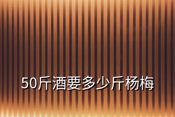 50斤酒要多少斤楊梅