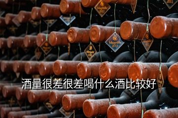 酒量很差很差喝什么酒比較好