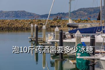 泡10斤藥酒需要多少冰糖