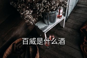 百威是什么酒