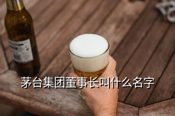 茅臺集團董事長叫什么名字