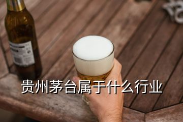 貴州茅臺屬于什么行業(yè)