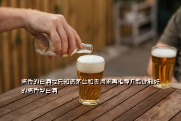 醬香的白酒我只知道茅臺和貴海求再推薦幾款比較好的醬香型白酒