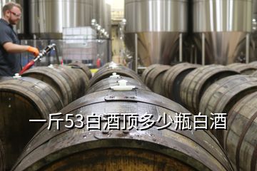 一斤53白酒頂多少瓶白酒