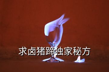 求鹵豬蹄獨家秘方