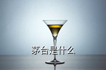 茅臺(tái)是什么