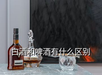 白酒和啤酒有什么區(qū)別