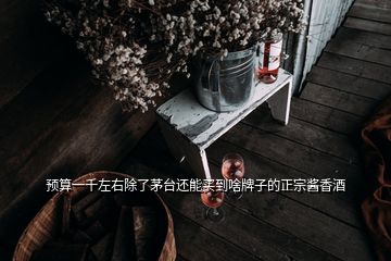 預(yù)算一千左右除了茅臺(tái)還能買(mǎi)到啥牌子的正宗醬香酒