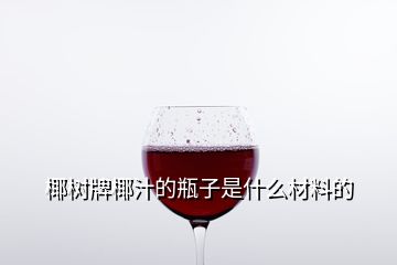 椰樹(shù)牌椰汁的瓶子是什么材料的