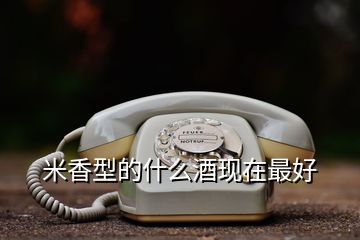 米香型的什么酒現(xiàn)在最好