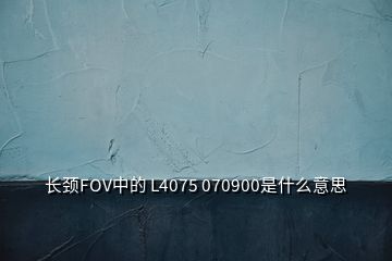 長頸FOV中的 L4075 070900是什么意思