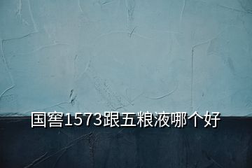 國(guó)窖1573跟五糧液哪個(gè)好