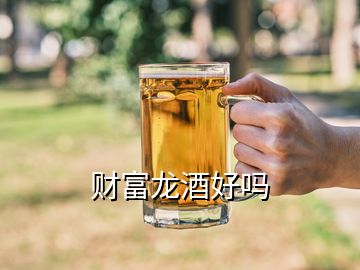 財(cái)富龍酒好嗎