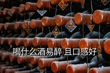 喝什么酒易醉 且口感好