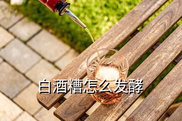 白酒糟怎么發(fā)酵