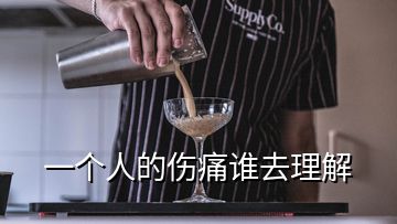 一個(gè)人的傷痛誰去理解