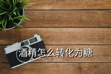 酒精怎么轉(zhuǎn)化為糖