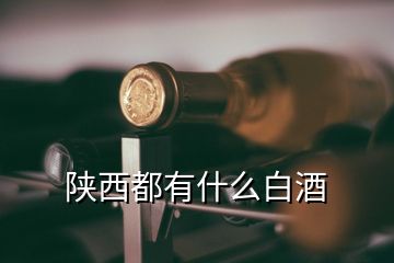 陜西都有什么白酒