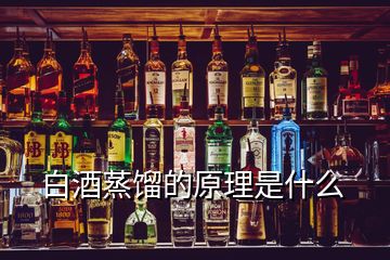 白酒蒸餾的原理是什么