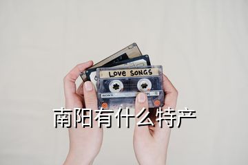 南陽有什么特產(chǎn)