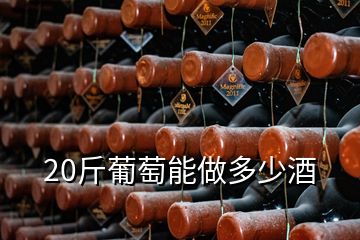 20斤葡萄能做多少酒