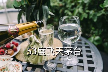 53度飛天茅臺