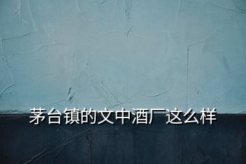 茅臺(tái)鎮(zhèn)的文中酒廠(chǎng)這么樣