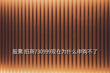 股票 招商730999現(xiàn)在為什么申購不了