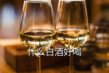 什么白酒好喝