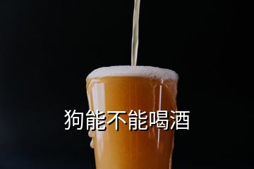 狗能不能喝酒