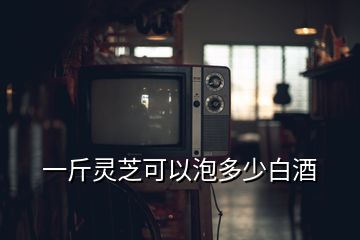 一斤靈芝可以泡多少白酒