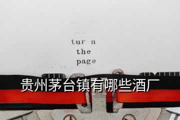 貴州茅臺(tái)鎮(zhèn)有哪些酒廠