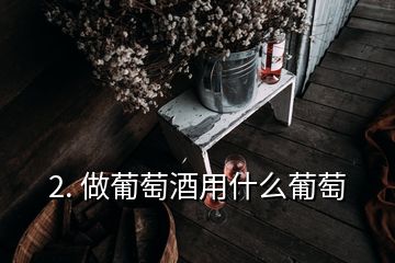 2. 做葡萄酒用什么葡萄