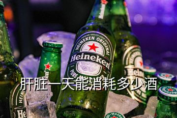 肝臟一天能消耗多少酒