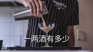 一兩酒有多少